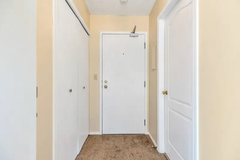 212 535 BLUE MOUNTAIN STREET - photo 3 of 25