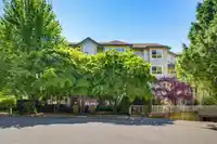 202 8115 121A STREET - thumbnail 6