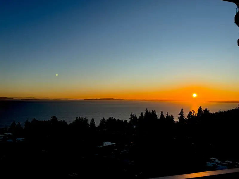 1403 1501 FOSTER STREET - photo 1 of 25