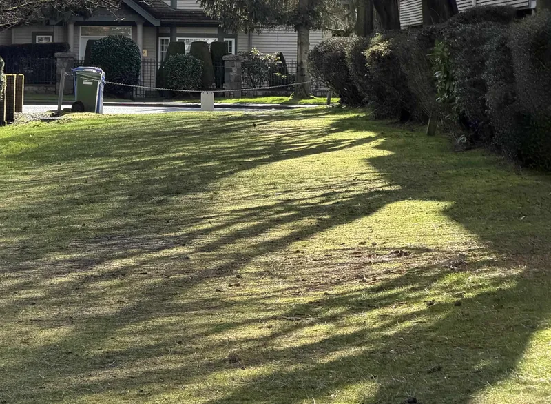 217 7751 MINORU BOULEVARD - photo 4 of 25