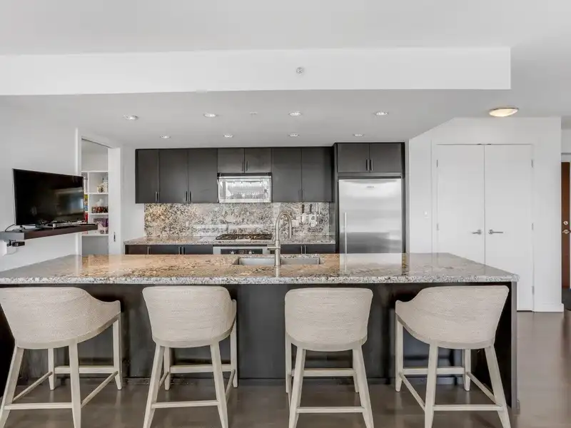 1202 1455 GEORGE STREET - photo 2 of 27
