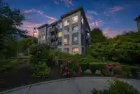 222 13733 107A AVENUE - thumbnail 2
