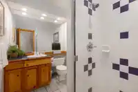 40 4737 SPEARHEAD DRIVE - thumbnail 23