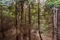 209 15238 100 AVENUE - thumbnail 25