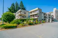 134 31955 OLD YALE ROAD - thumbnail 31
