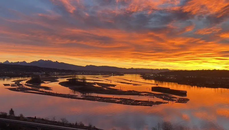 1703 71 JAMIESON COURT - photo 1 of 25