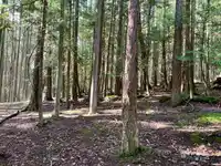 10 776 WILKS ROAD - thumbnail 31