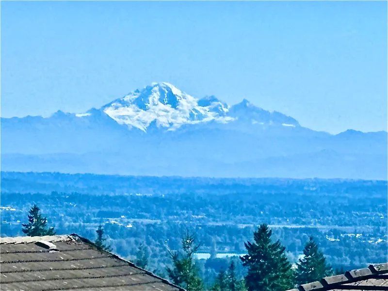 3035 MAPLEWOOD COURT - photo 1 of 25