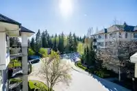 414 2958 SILVER SPRING BOULEVARD - thumbnail 29