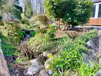 655 DOUGALL ROAD - thumbnail 31