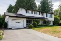 11142 PATRICIA DRIVE DRIVE - thumbnail 1