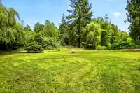 28203 LOUGHEED HIGHWAY - thumbnail 34