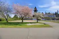 5692 247A STREET - thumbnail 37