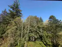 613 3596 MALSUM DRIVE - thumbnail 26