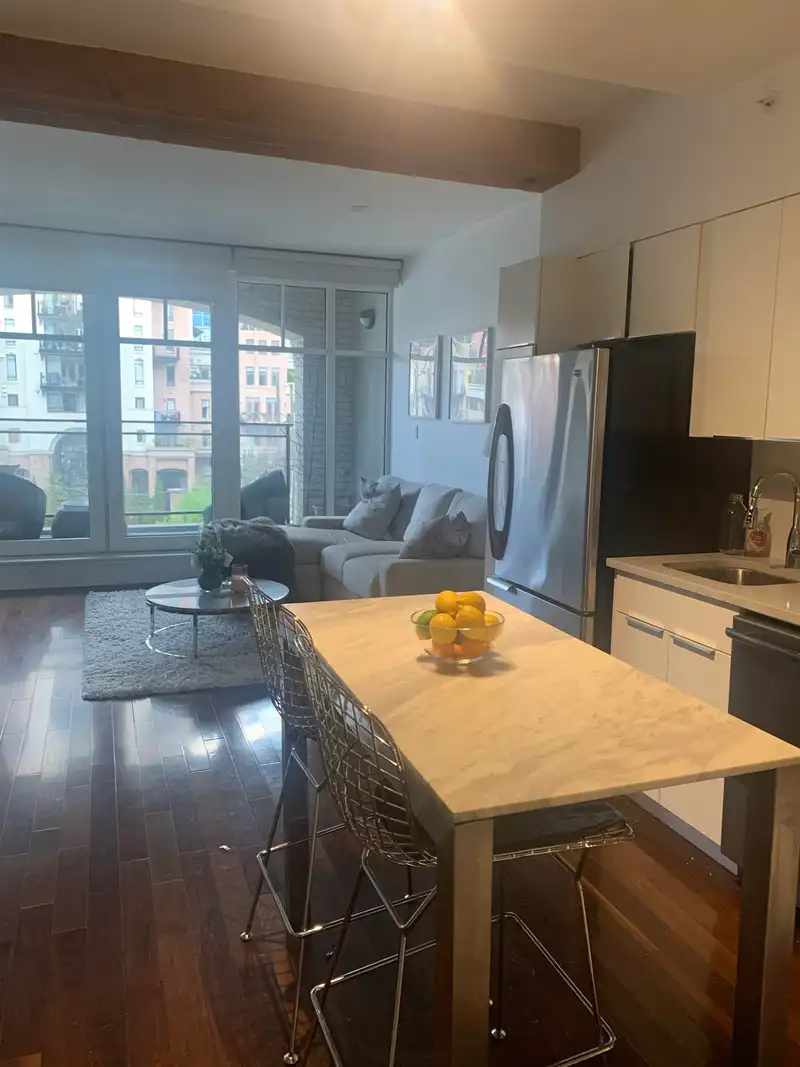 509 1275 HAMILTON STREET - photo 3 of 11