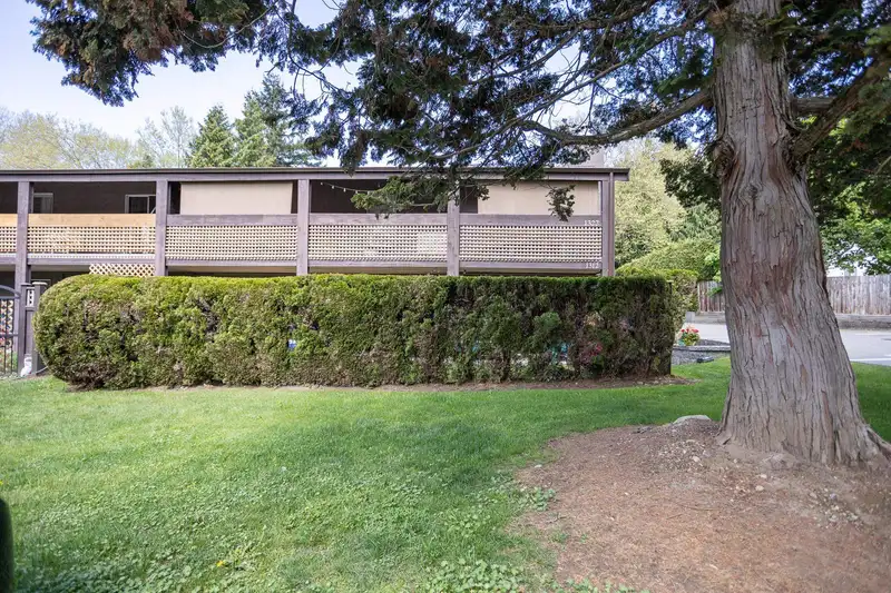 1312 34909 OLD YALE ROAD - photo 1 of 21