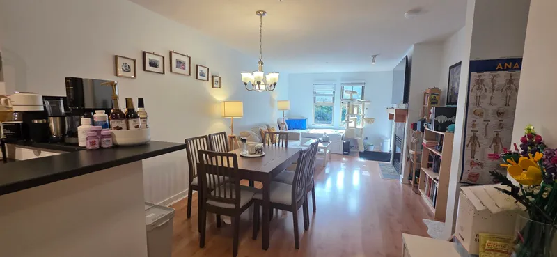 201 15 SMOKEY SMITH PLACE - photo 4 of 21