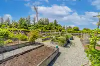 105 2855 156 STREET - thumbnail 23