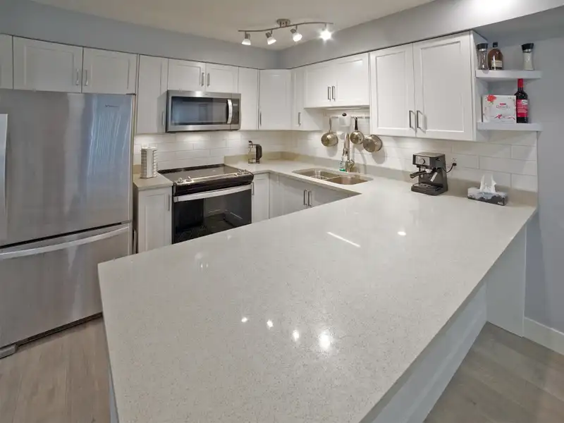 204 30515 CARDINAL AVENUE - photo 3 of 19
