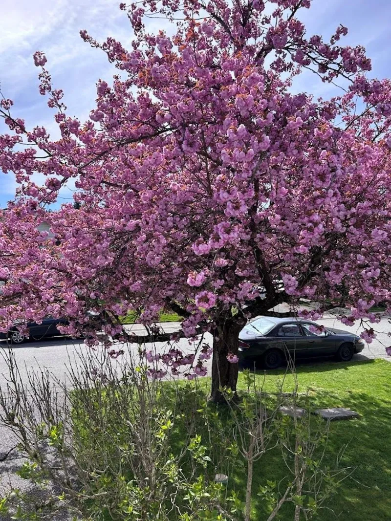 22475 STRENG AVENUE - photo 2 of 25