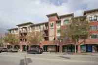 415 11882 226 STREET - thumbnail 40
