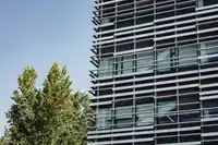 6311 OAK STREET - thumbnail 12