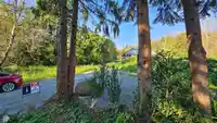 29945 SILVERDALE AVENUE - thumbnail 4