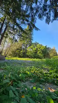 29945 SILVERDALE AVENUE - thumbnail 6