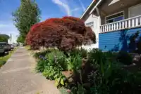 2867 E GEORGIA STREET - thumbnail 25
