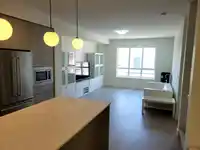 119 16561 17A AVENUE - thumbnail 13