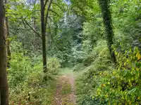 7275 253 STREET - thumbnail 39
