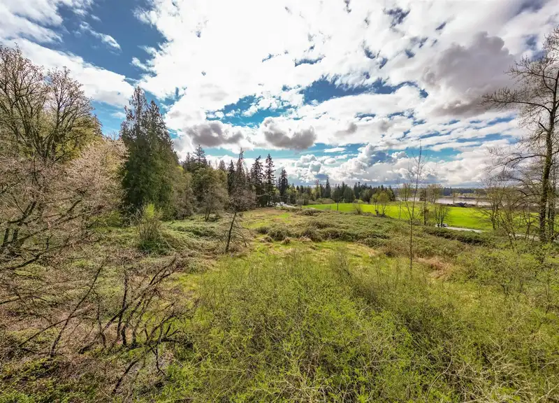 25655 LOUGHEED HIGHWAY - photo 4 of 16