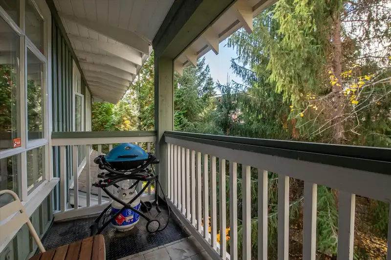 203 4405 BLACKCOMB WAY - photo 4 of 19