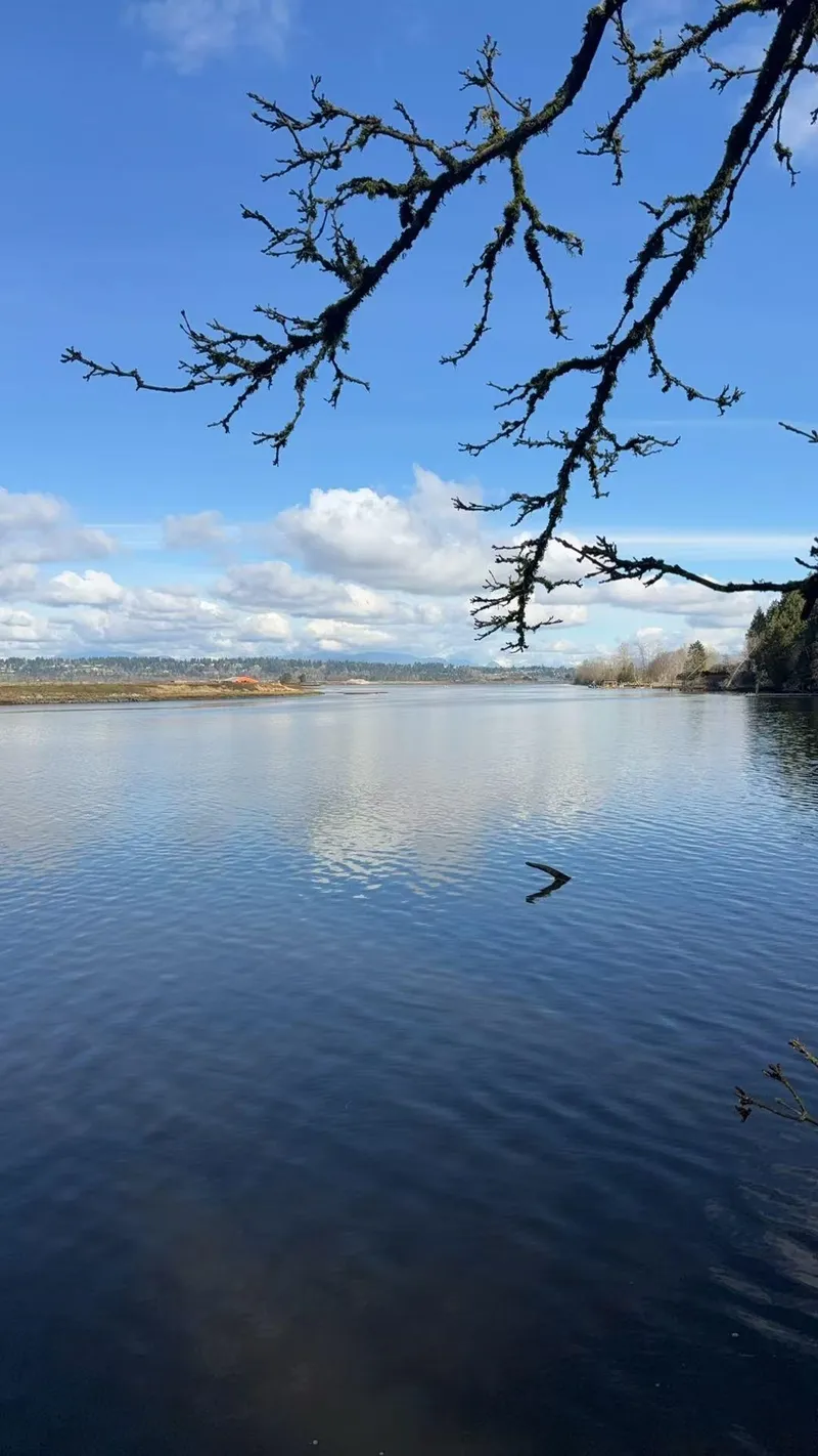 13267 CRESCENT ROAD - photo 4 of 8