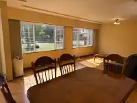 7223 GLADSTONE STREET - thumbnail 2