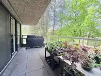 T6903 3980 CARRIGAN COURT - thumbnail 20