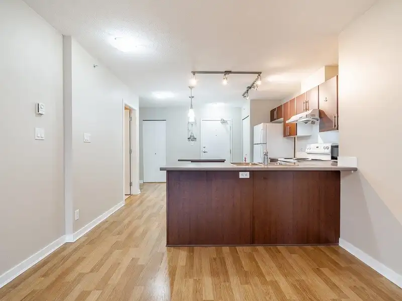 2009 1178 HEFFLEY CRESCENT - photo 3 of 20