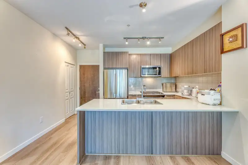 205 1151 WINDSOR MEWS - photo 4 of 36