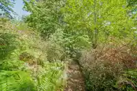 55 PASSAGE ISLAND - thumbnail 9
