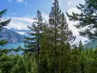 LOT 43 DOUGLAS BAY - thumbnail 7