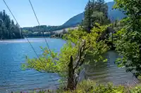 12525 LOW ROAD - thumbnail 34