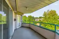 221 33175 OLD YALE ROAD - thumbnail 23