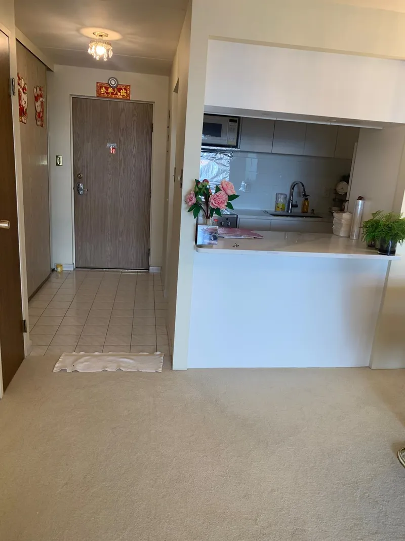 1306 6651 MINORU BOULEVARD - photo 3 of 4