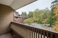 249 7471 MINORU BOULEVARD - thumbnail 16
