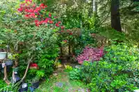 5261 CLIFFRIDGE AVENUE - thumbnail 21