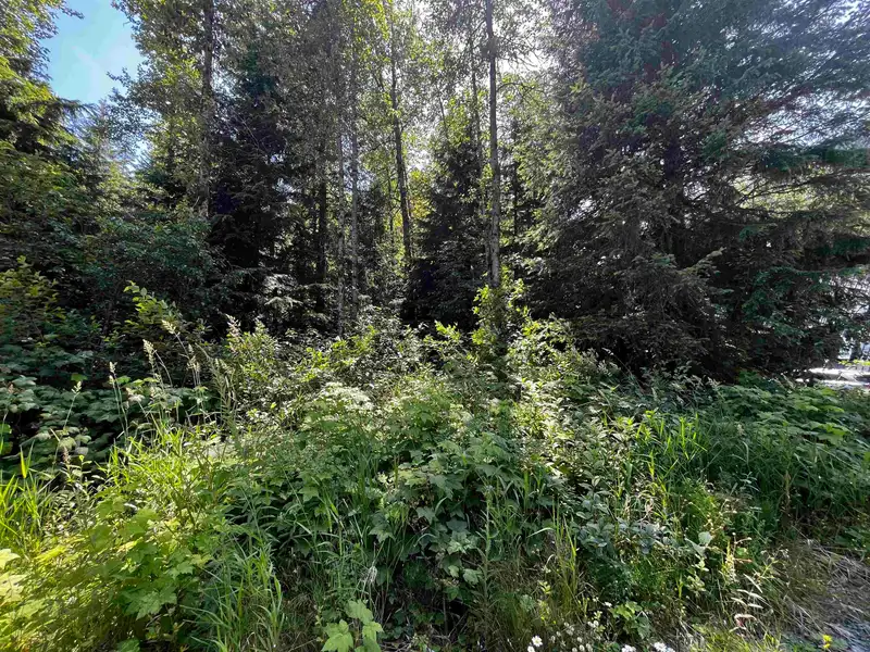 70901 OLD HOPE PRINCETON HIGHWAY - photo 4 of 29