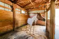 28555 104 AVENUE - thumbnail 38
