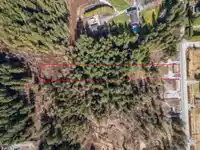 12167 ROLLEY LAKE STREET - thumbnail 15