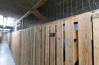 411 15210 GUILDFORD DRIVE - thumbnail 25