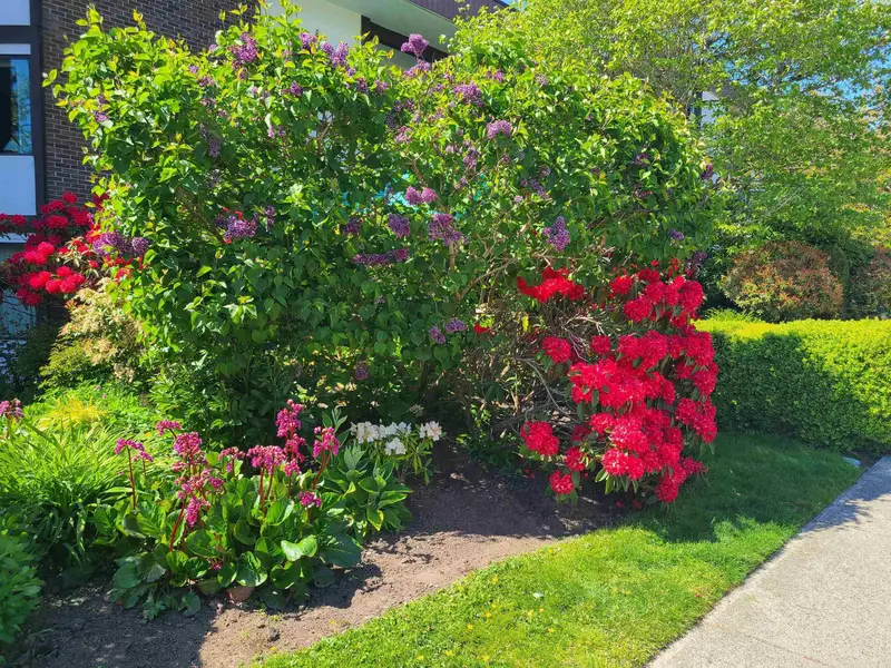 111 1521 BLACKWOOD STREET - photo 3 of 25